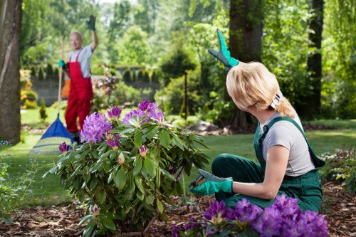 Gardeners Soho team sorting green waste in an urban garden