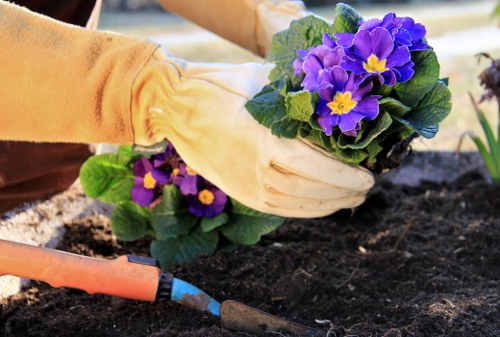 Visual showing inclusive gardening work in a community green space in Soho